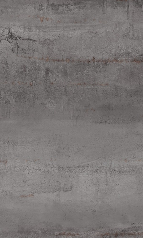 10203 Cathara Grey