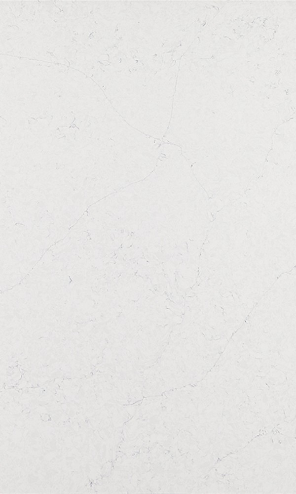 7701 Calacatta Edera